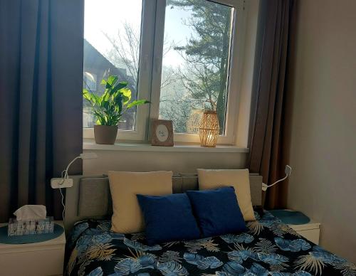 a bedroom with a bed with blue pillows and a window at Apartament Przy Parku in Jelenia Góra