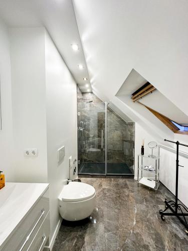 a bathroom with a toilet and a glass shower at Downtown Apartments Theatre in Baden-Baden