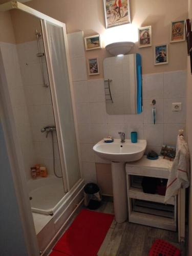une petite salle de bain avec un lavabo et une douche dans l'établissement Maison Creusoise dans le village de Fontanières., à Fontanières