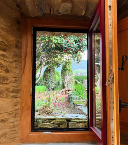 a window view of a garden outside a house at Araucaria House in Barreiros