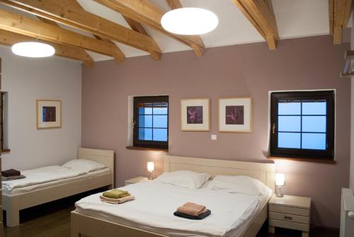 1 Schlafzimmer mit 2 Betten und 2 Fenstern in der Unterkunft Apartmány Cestář Boží Dar in Boží Dar