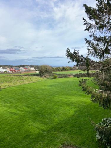 a large green field with a tree in the foreground at Araucaria House in Barreiros