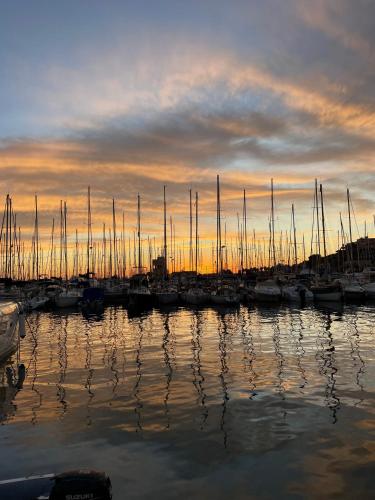 a group of boats docked in a marina at sunset at Bistrot del mare in Santo Stefano al Mare