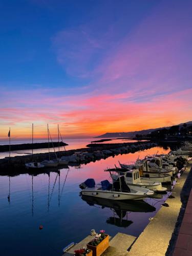 a group of boats docked in a marina at sunset at Bistrot del mare in Santo Stefano al Mare