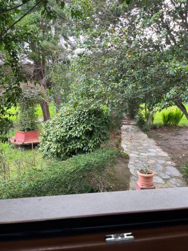a view of a garden with a stone path at Araucaria House in Barreiros