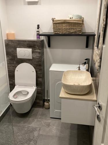 une salle de bain avec toilettes et lavabo dans l'établissement Bianka Apartment, à Zagreb