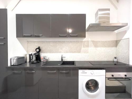 une cuisine avec un évier et une machine à laver dans l'établissement La coulée verte, à Auxerre