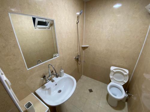 a bathroom with a sink and a toilet and a mirror at Guesthouse LUKA in Kutaisi