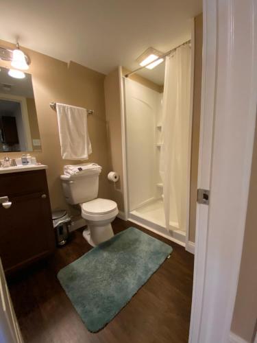a bathroom with a toilet and a shower and a rug at Private basement bedroom with private bathroom, kitchen, and living room with large screen television in McCordsville
