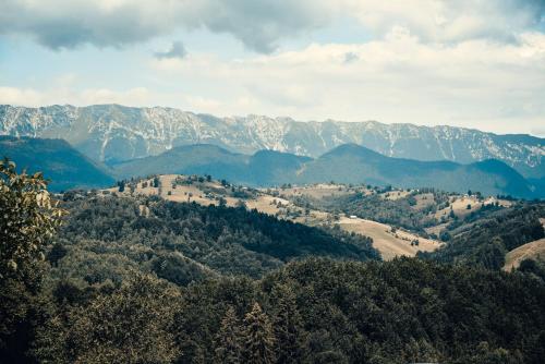 Φυσικό τοπίο κοντά σε αυτό το καταφύγιο
