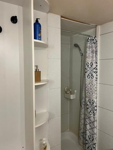 La salle de bains est pourvue d'une douche avec rideau de douche. dans l'établissement Atypique, à Châteauneuf-de-Gadagne