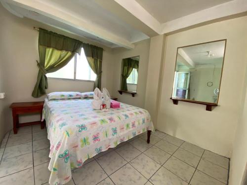 sypialnia z łóżkiem i dużym lustrem w obiekcie HISTORICO HOSTAL ELIZABETH w mieście Puerto Ayora