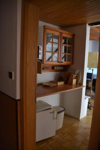a kitchen with a counter and a counter top at Pension U akátu in Prague