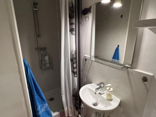 uma casa de banho com um lavatório, um chuveiro e um espelho. em Studio cosy et confortable collé à La Défense em Courbevoie