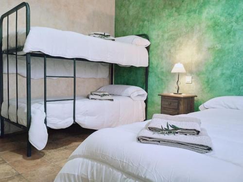 two bunk beds in a room with green walls at El capricho de Diego in La Puebla de Montalbán