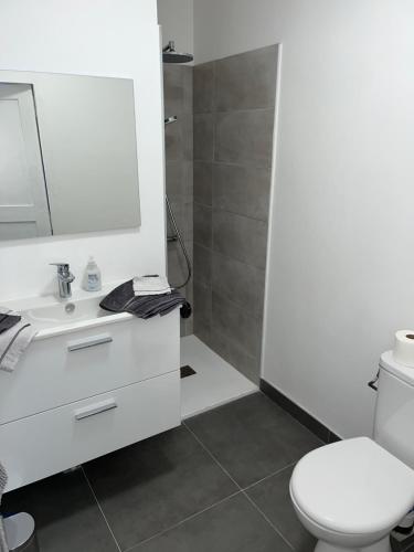 La salle de bains est pourvue de toilettes, d'un lavabo et d'un miroir. dans l'établissement Studio indépendant dans maison individuelle, à Nancy