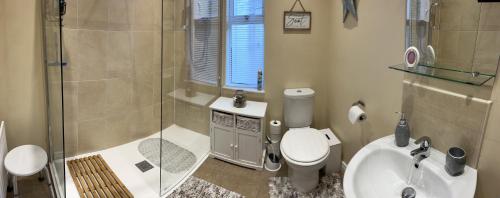 a bathroom with a shower and a toilet and a sink at TJ’s Cottage in Enniskillen