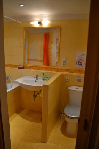 a bathroom with a sink and a toilet and a mirror at Pension U akátu in Prague