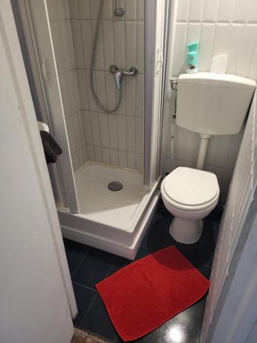 La salle de bains est pourvue de toilettes et d'une douche avec un tapis rouge. dans l'établissement Studio à Trouville - Charme de l'ancien, à Trouville-sur-Mer
