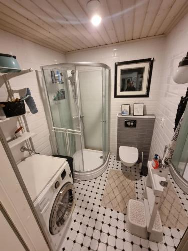 ein Bad mit einer Dusche und einer Waschmaschine in der Unterkunft Holiday home Korpraali by Päijänne-lake in Vaajakoski
