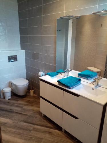 a bathroom with a sink and a toilet and a mirror at Un air de campagne in Montauban