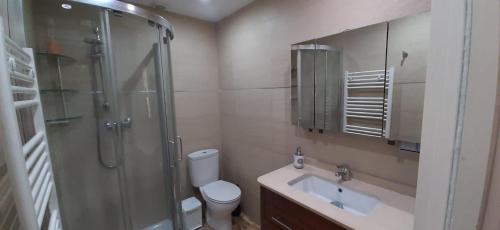 y baño con ducha, lavabo y aseo. en Apartamento Txoko Txikia en Echarri-Aranaz