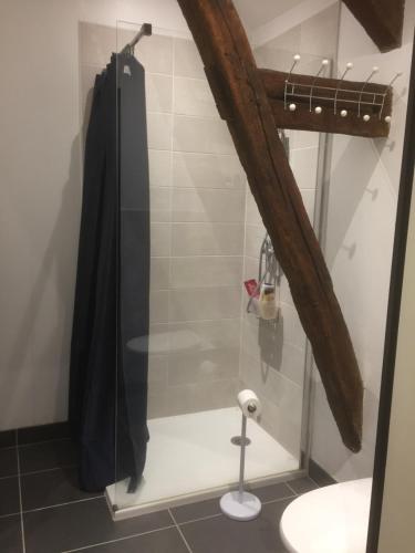 a shower with a glass door in a bathroom at T2 calme et chaleureux 1 à 5 pers in Alençon