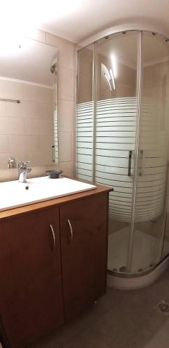 a bathroom with a shower and a sink at Modern home, 6' from the Metro in Athens