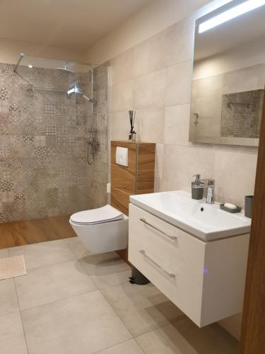 ein Bad mit einem Waschbecken, einem WC und einer Dusche in der Unterkunft Apartament pod Grojcem in Żywiec