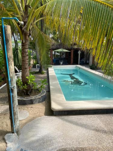 Πισίνα στο ή κοντά στο Bungalows Tree Tops - Adults Only