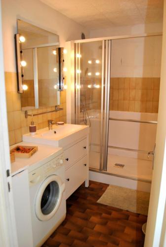 a bathroom with a shower and a washing machine at Confortable, lumineux et fonctionnel in Nice