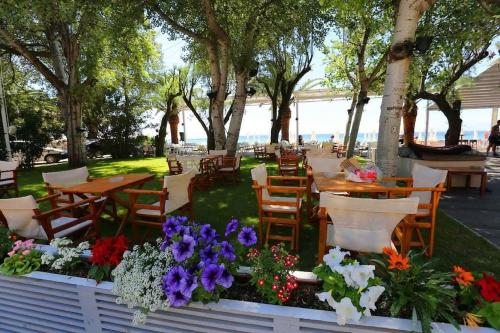 Квартира Халкидики Флогита / Ferienwohnung Chalkidiki Griechenland