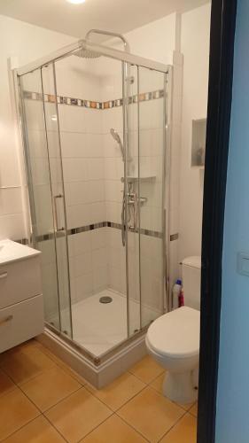 a bathroom with a shower and a toilet at Beautiful ground floor 2 bedroom apartment in Honfleur