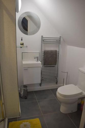 a bathroom with a toilet and a sink and a mirror at Fort William loft on shore front with amazing views in Caol