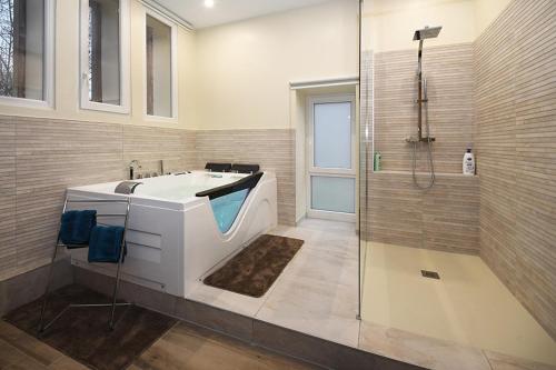 a bathroom with a bath tub and a shower at Appartement Loft Detente in Strasbourg