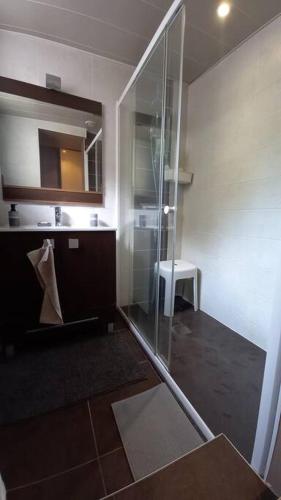 une salle de bain avec une douche en verre et un lavabo dans l'établissement Maison cosy -15min Puy du Fou- Centre de Pouzauges, à Pouzauges