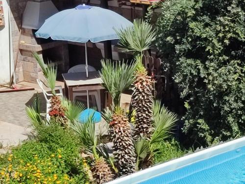 un gruppo di ananas in un giardino accanto a una piscina di Le Due Palme a Marsala