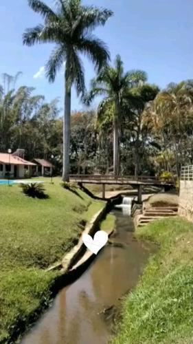a river with a white swan in the water at Pousada Tapera in Penedo