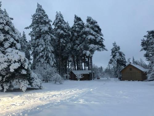 A house with a sauna at Arturs v zimě