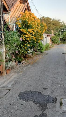 an empty street with flowers on the side of a building at Canaan in Kanchanaburi