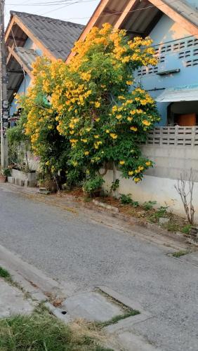 a tree with yellow flowers on the side of a building at Canaan in Kanchanaburi