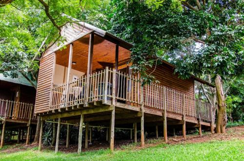 a wooden house with a deck in the trees at Hippo Water Front Lodge in Nelspruit