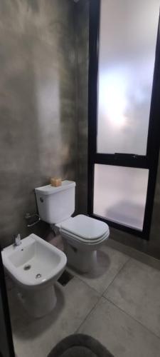 Un baño de Mono Chancas