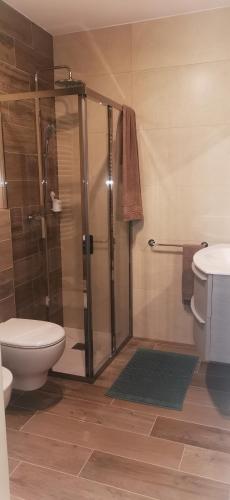 a bathroom with a shower and a toilet and a sink at miniapp. a 2 km da Pedavena in Pedavena
