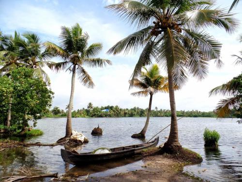 a boat in the water between two palm trees at Houseboat cruise in the backwaters of Kerala. in Kottayam