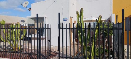 a fence with a cactus in front of a building at casa villa costa de sol, calderilla in Calderilla