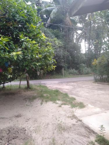 a dirt road with trees on the side of the road at Layya Homestay in Pasir Mas