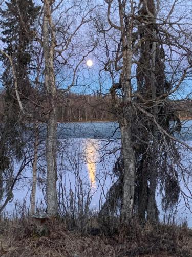 Evenson Heritage Lodge – Photos 5