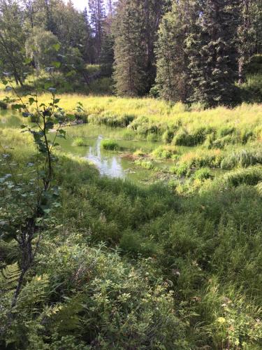 Evenson Heritage Lodge – Photos 4