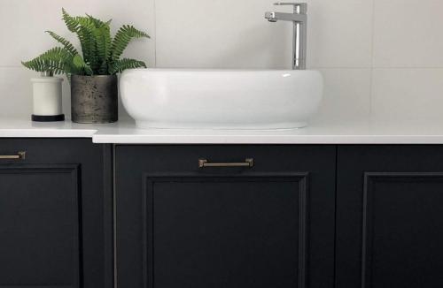 a bathroom counter with a sink and a potted plant at מטע וכרם in Elqosh